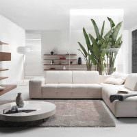 lehetőség a világos nappali dekorációra a minimalista kép stílusában