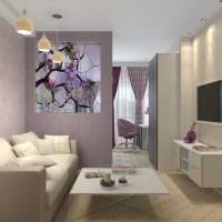 varianta světlého stylu obývacího pokoje ložnice 20 m2 obrázek