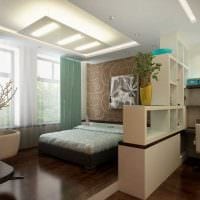 varianta krásného designu ložnice obývacího pokoje 20 m2 Fotografie