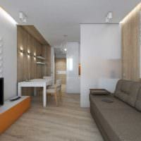 myšlenka světlého stylu obývací pokoj ložnice 20 m2 obrázek