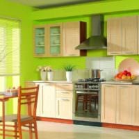 design kuchyně s oknem světlým interiérem