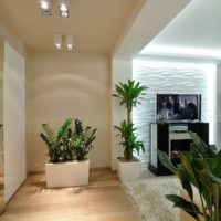 Živé rastliny v dizajne jednoizbového bytu