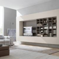 Рафтове с книги и телевизор на стената в хола
