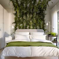 Катерещи растения в дизайна на спалнята