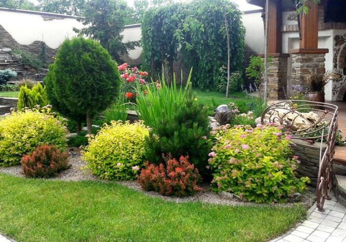 Fleråriga buskar och örtväxter i ett privat trädgårdslandskap