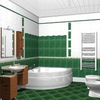 idea kauniista kylpyhuoneen tyylistä, jossa on kulmakylpykuva