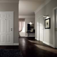 ușile interioare din interiorul camerei de zi fotografie