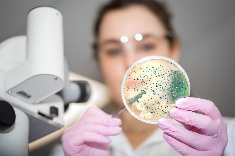 ung laboratorietekniker mikrobiologi e coli nissle stamme nyttig forskning