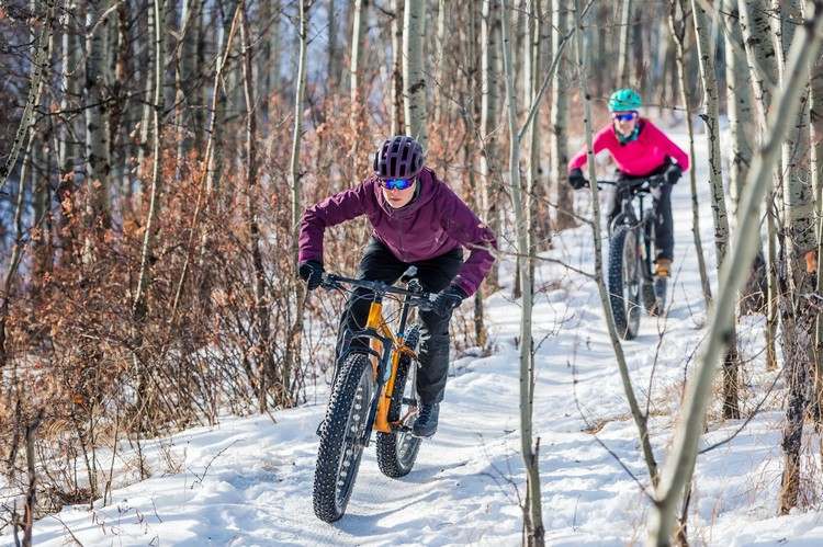 hvilken mountainbike man skal købe til sne og fedtcykeltip