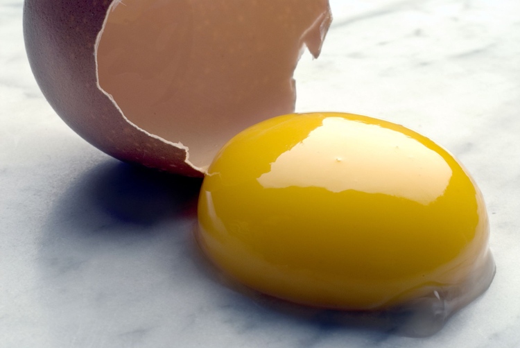 Ægserstatning -høne æg-intolerance-intolerance-æggeblomme-protein