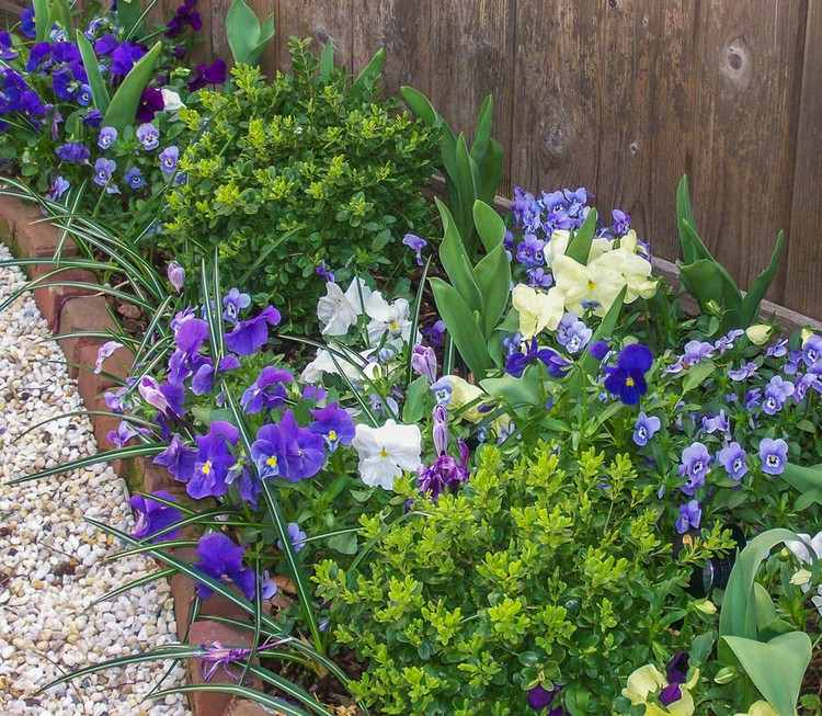 Blomsterbed langs hegnet og stedsegrønne planter