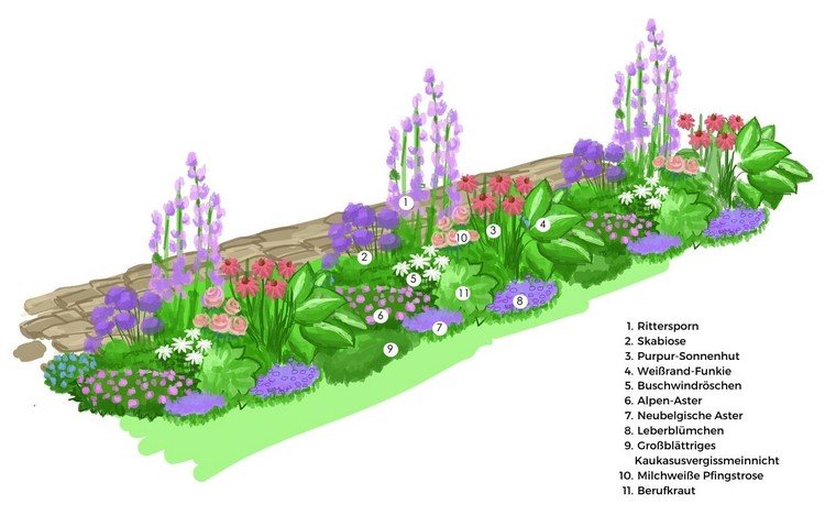 Planteplan for et smalt bed med flerårige blomster