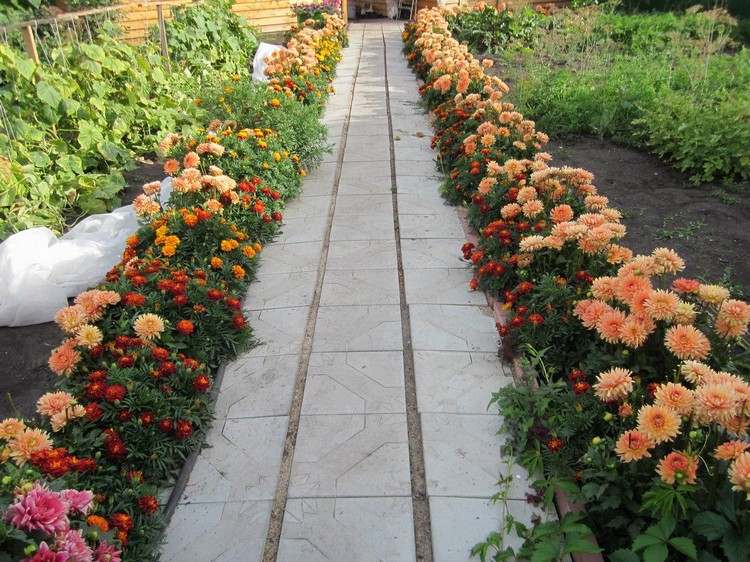 Lav et langt, smalt blomsterbed. Planteplan, plantningskombinationer