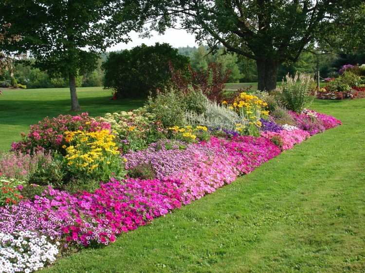 Lang blomsterbed frodig fritstående i haven