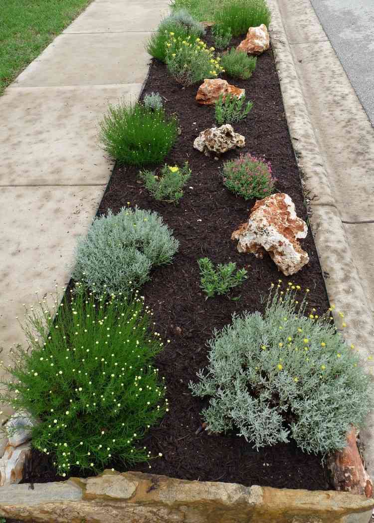 Lange smalle blomsterbedstipningstip