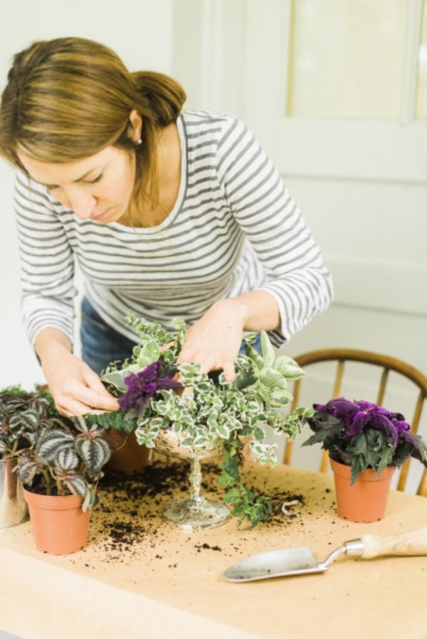 kvinde-klargjort-levende-planter-design-bord