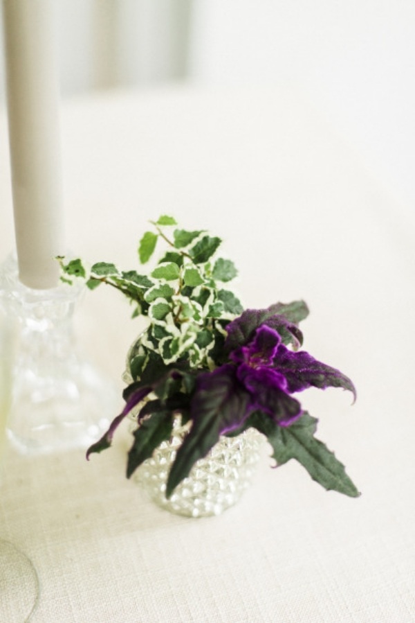glas-vase-livlig-sammensætning-planter-lilla
