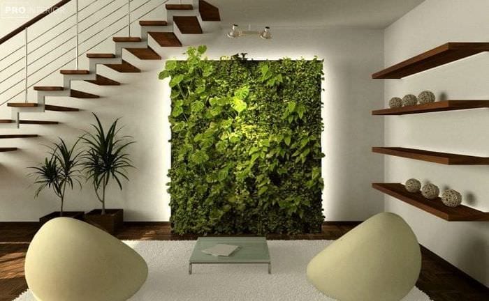 frumos design eco hol