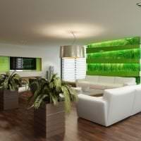 vakkert eco room design bilde