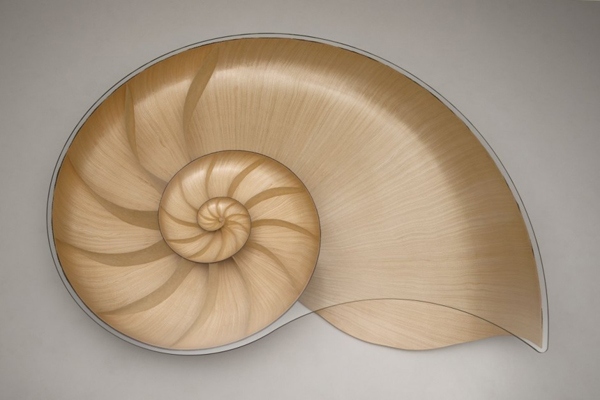 designerbord med nautilus -form set ovenfra
