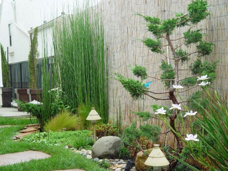 Feng Shui have design bambus måtter-privatliv skærme-plante-haven lys