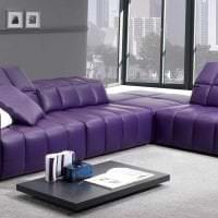 тъмно лилав диван в хол снимка дизайн снимка