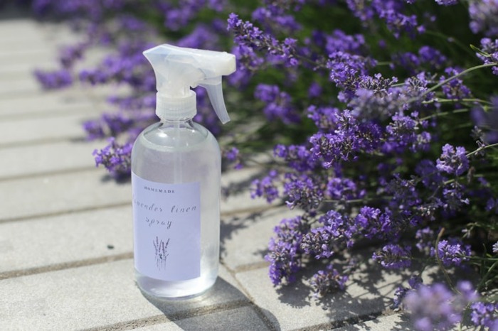 Lavendelspray gør sengelinned blomster duftende forår