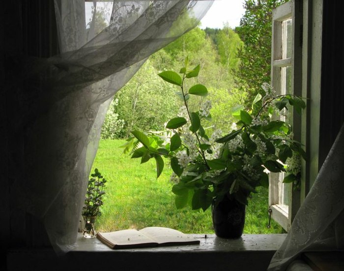 åbent vindue frisk luft fjeder duft blomstervase vindueskarm