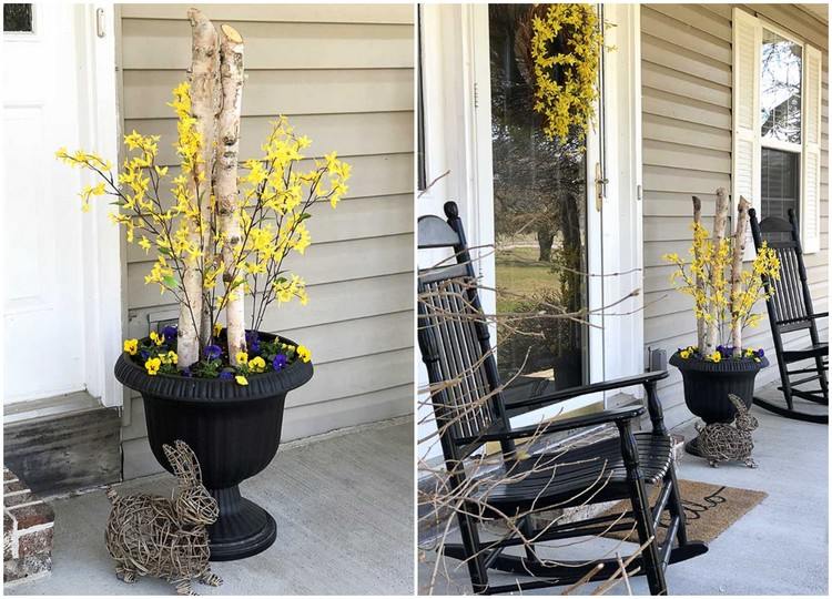 smuk forårspynt i udendørsområdet planter med stedmoderblomster og forsythia