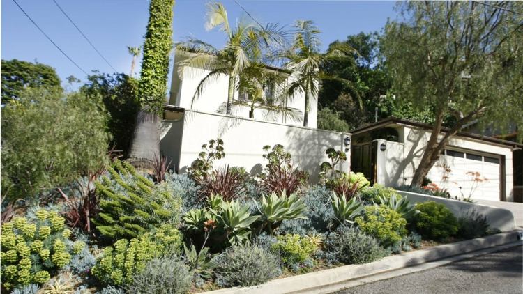 have på en skråning form kaktus palmer planter hus (hus) facade