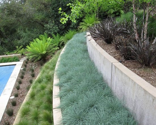 Opret en have på en skråning idéer til at plante moderne sikker beton