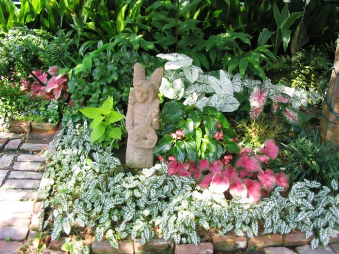 planter seng have farverige blade skygge form
