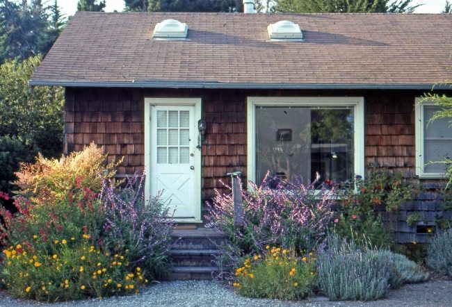 Have stauder-plantning blomster i landlig stil i forhaven