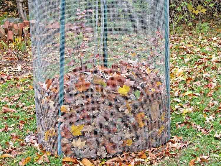 Havearbejde i efterårsblade-opsamling-kompost-vinterbeskyttelse