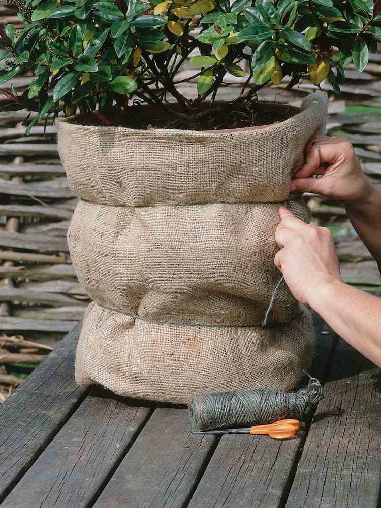 havearbejde-om-efteråret-planter-overvintrende-container-planter