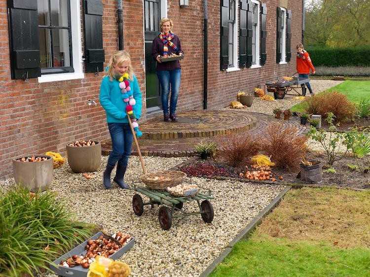 havearbejde-i-efterår-forår-blomster-plantetips