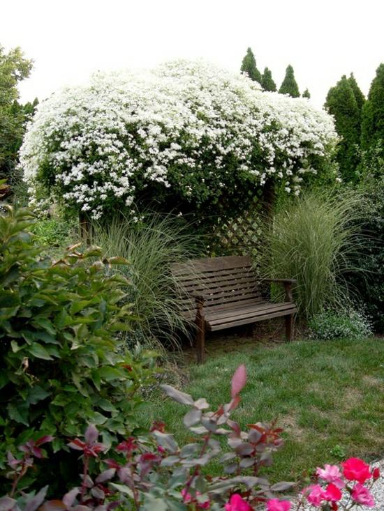 Havepergola hækplanter designer blomster buske