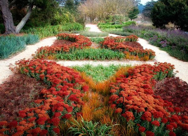 Opret et blomsterbed design-røde blomstrer-varmebestandige havedesign ideer eckersley