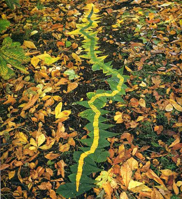 havedesign-havekunst-efterårsblade-farve-gul-grøn-guldsværdig