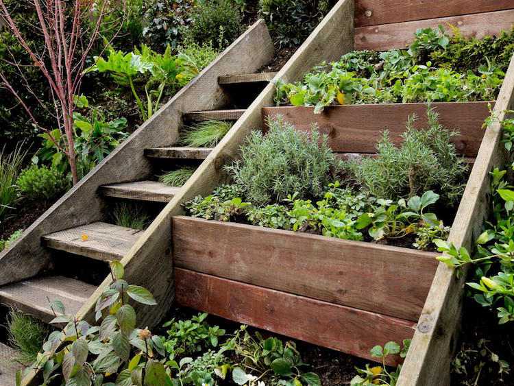 Byg din egen have-trappe-træ-hævede seng-urte have-krydderier
