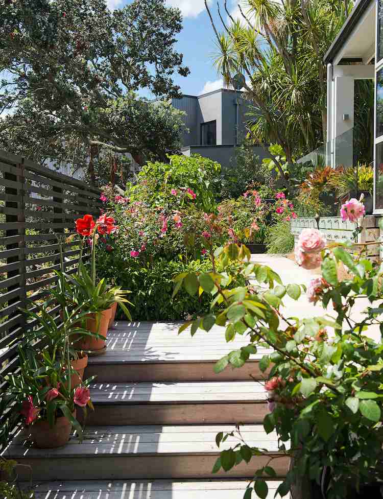 Byg-din-egen-have-trappe-træ-terrasse-solrige planter