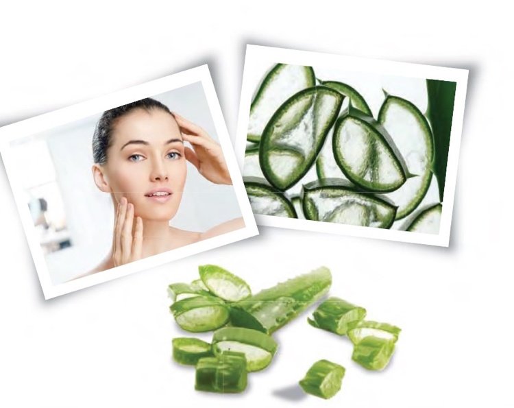 Tips til hudpleje Aloe Vera sund naturlig