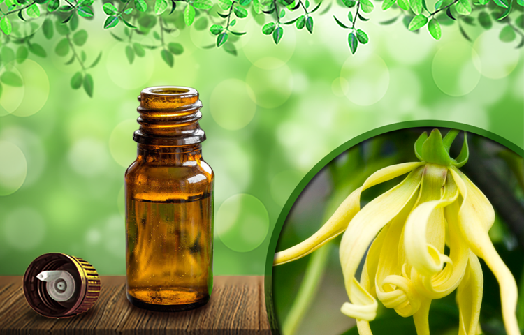 Tips til hudpleje til tør hud Ylang-Ylang