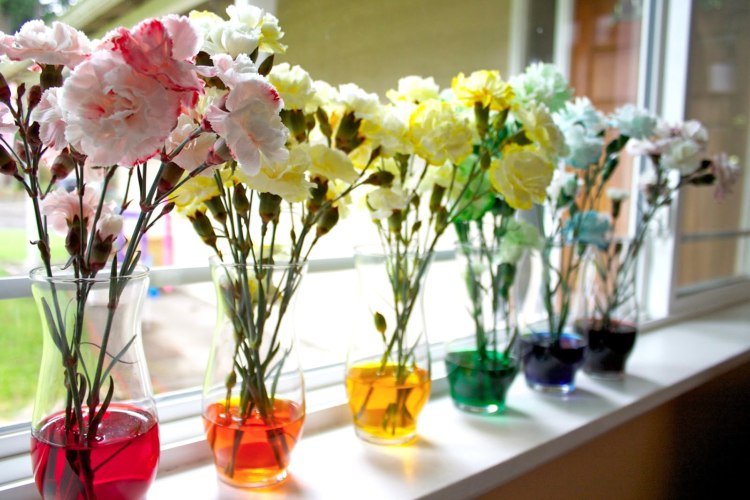 havearbejde med børn eksperimenterer med at farve blomster