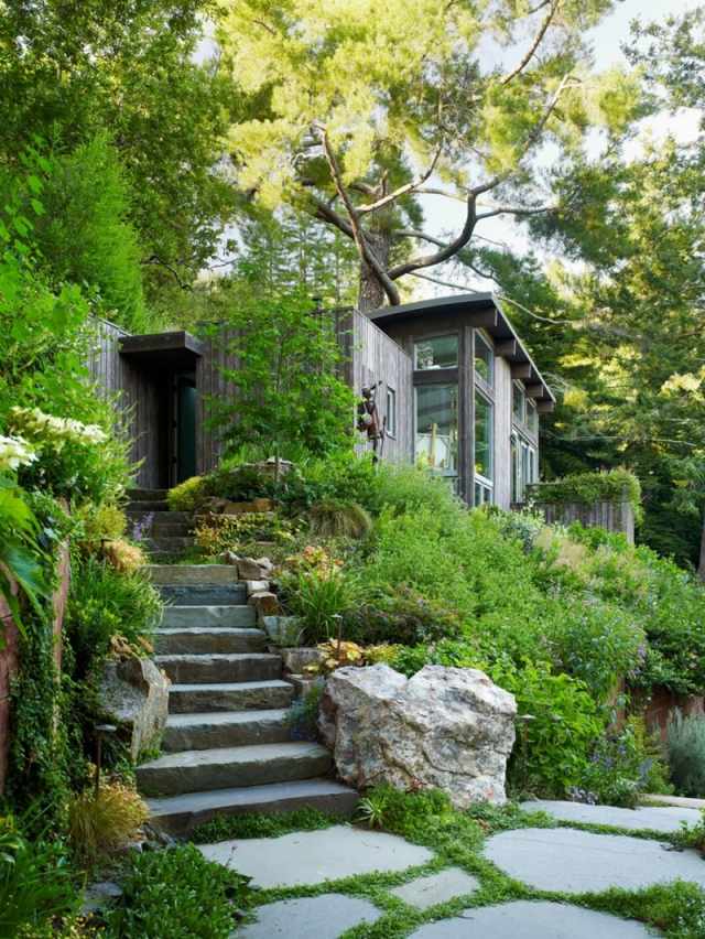 Hus i skoven-bygge design ideer trapper sten overgroet med planter