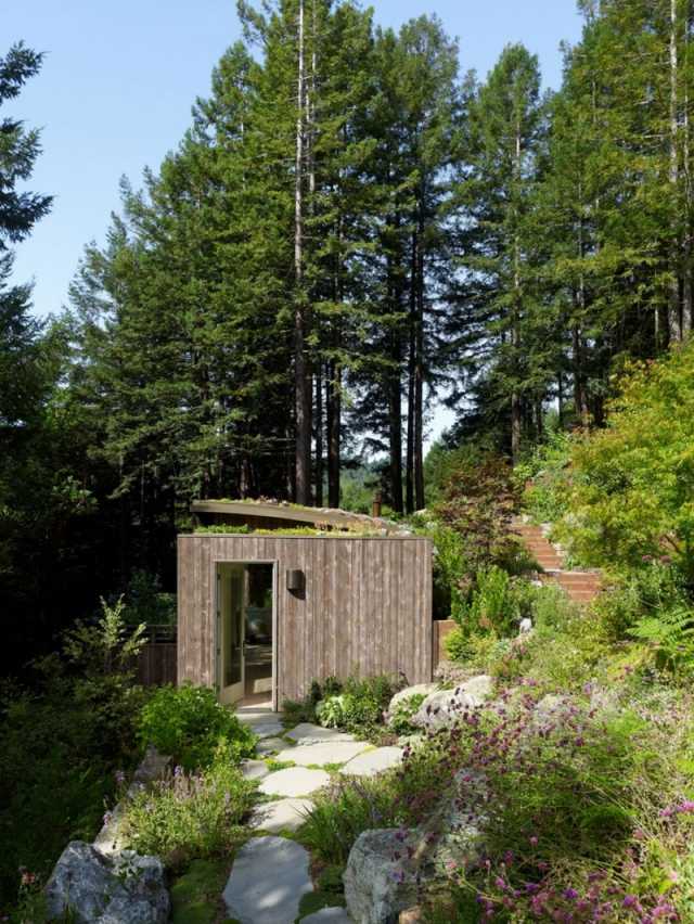 ideer design landskab på skråningen gangbroer træhus i skoven
