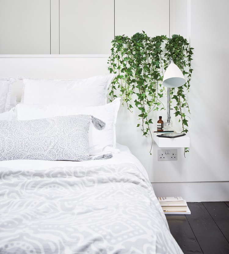 Ivy med hængende vækst bringer farve til det hvide soveværelse
