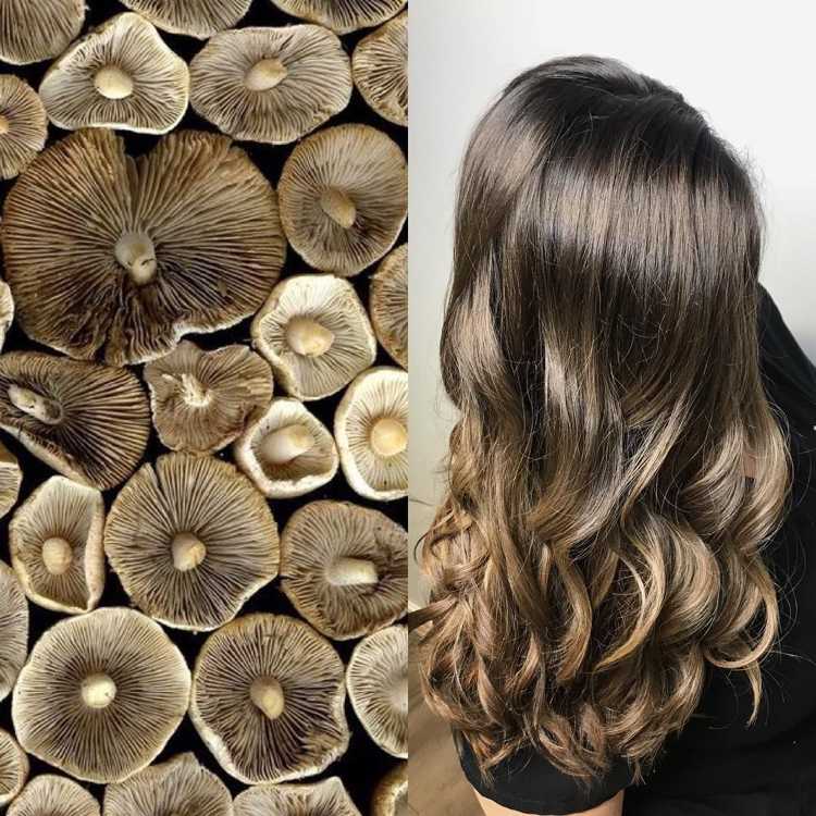 hårfarver trends 2019 kvinder Svampebrunt hår