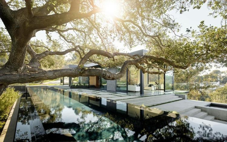 hus lavet af glas og beton grene eg pool trapper udendørs