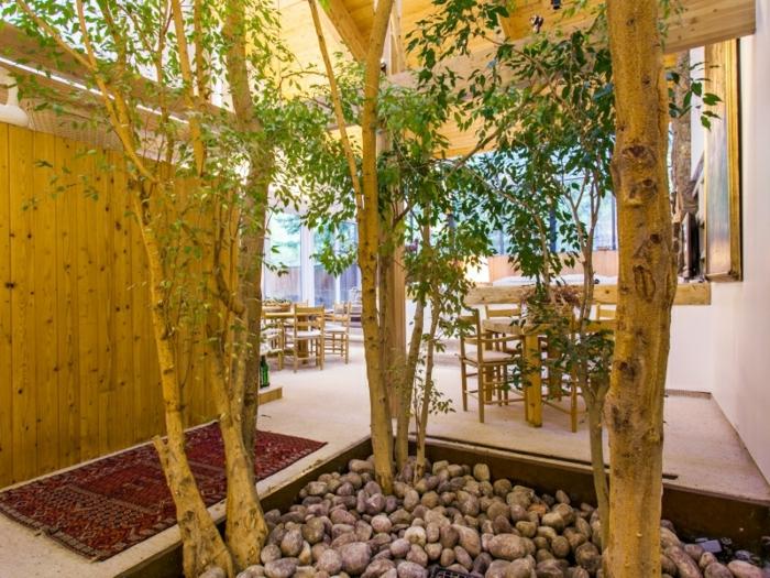 indendørs urtepotter træer planter effektive dekorationssten